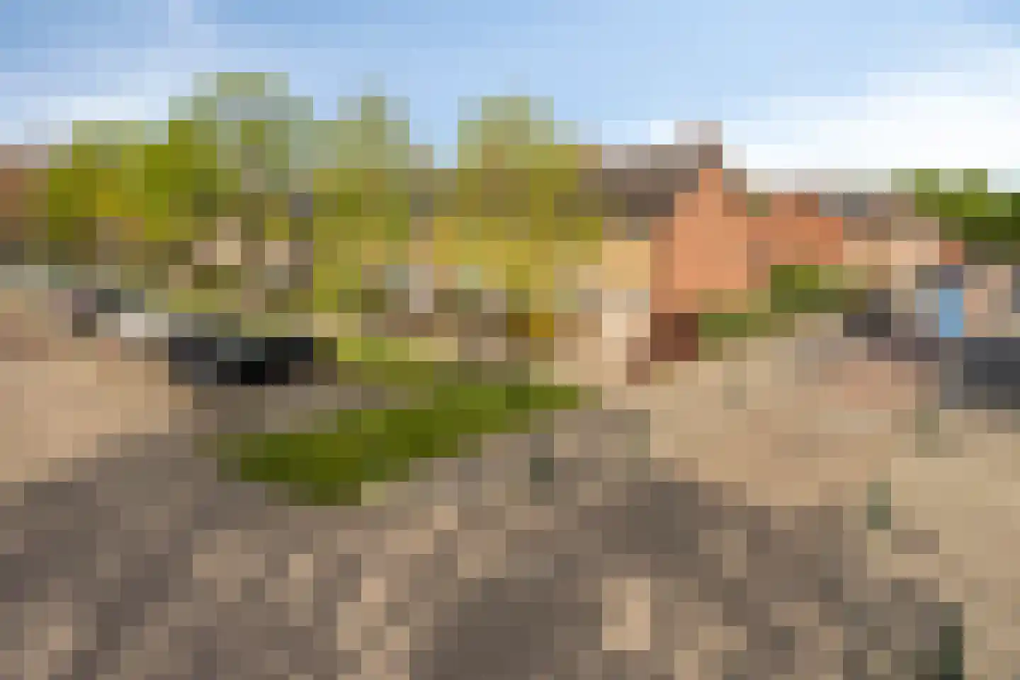 Halewijnstraat 34 Etten-Leur thumbnail 39