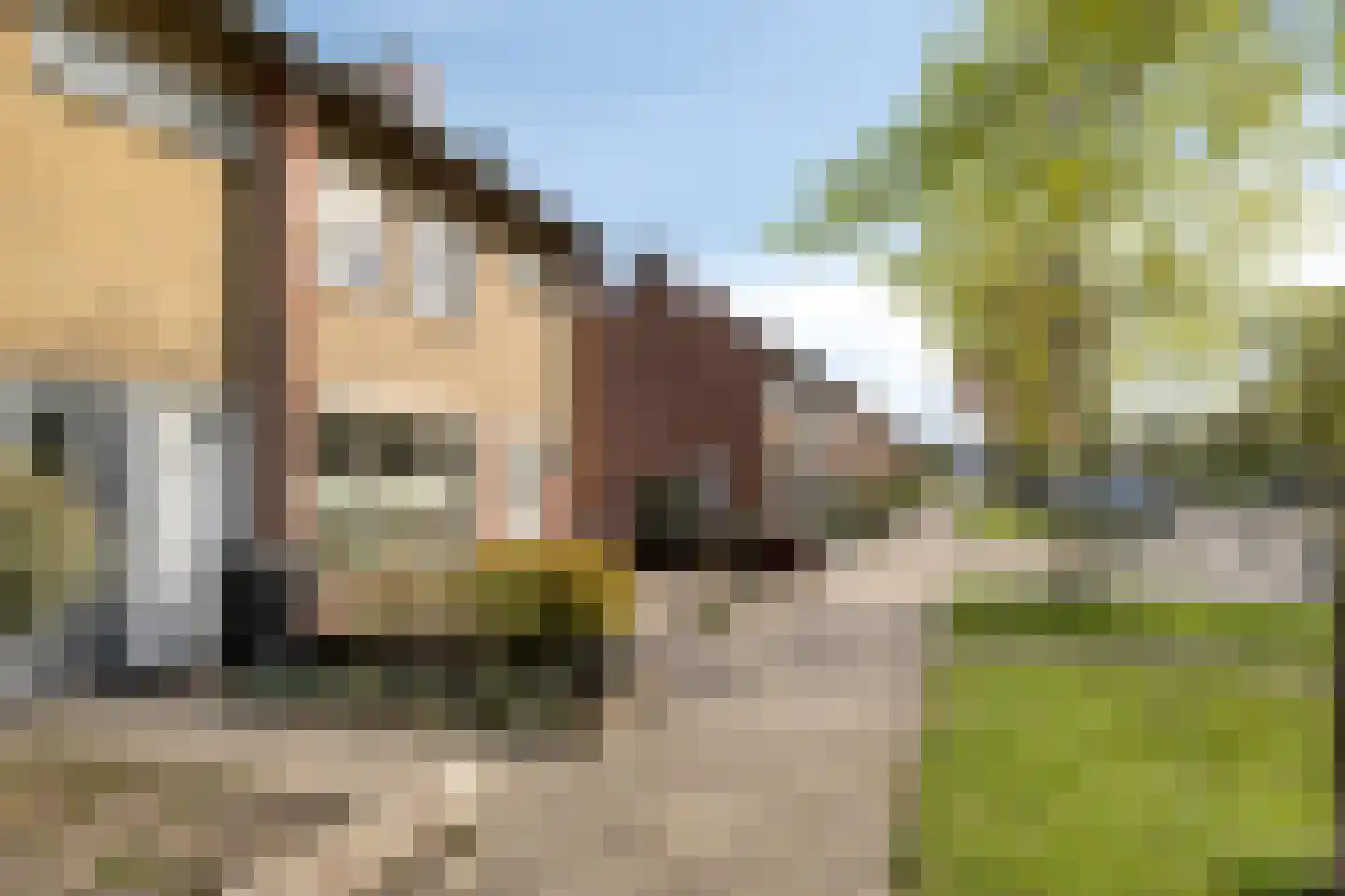 Halewijnstraat 34 Etten-Leur thumbnail 40