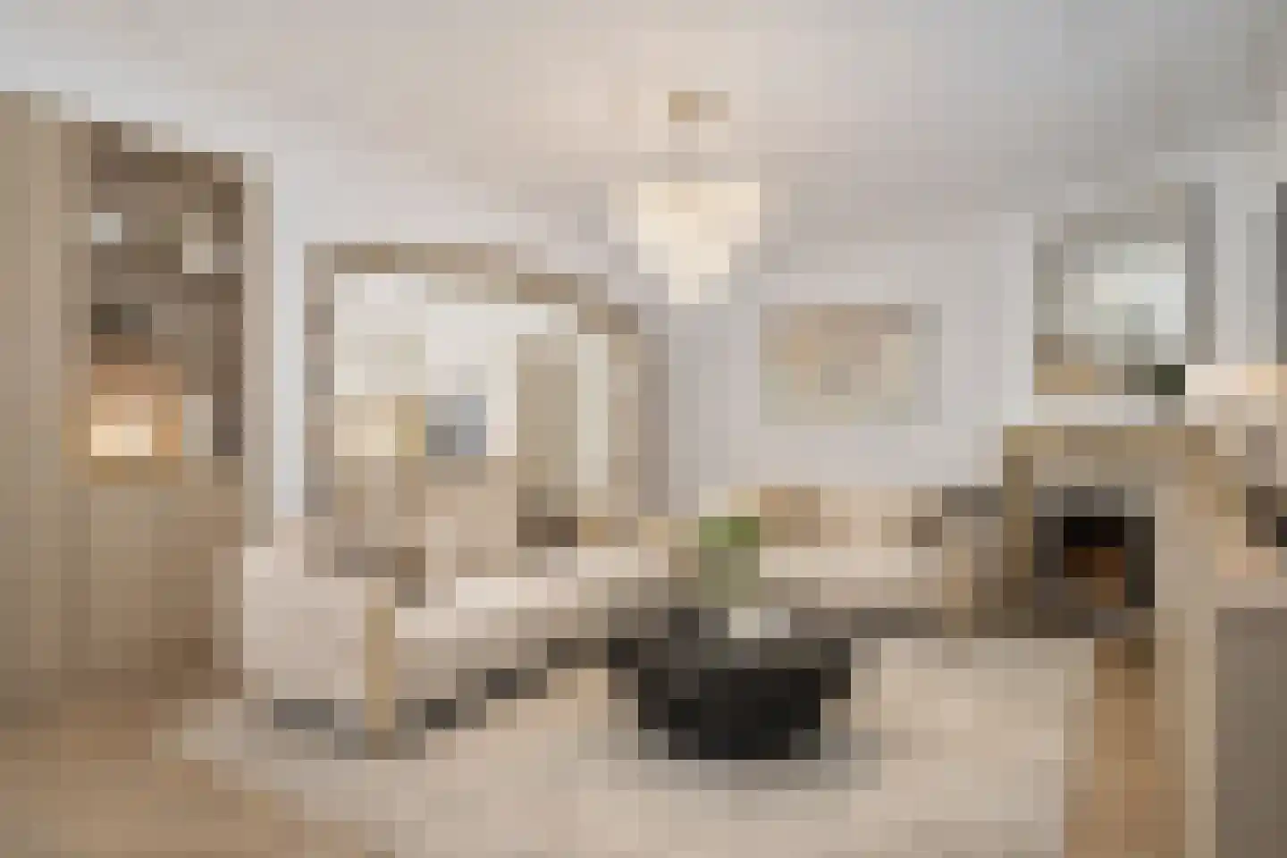 Halewijnstraat 8 Geleen thumbnail 11