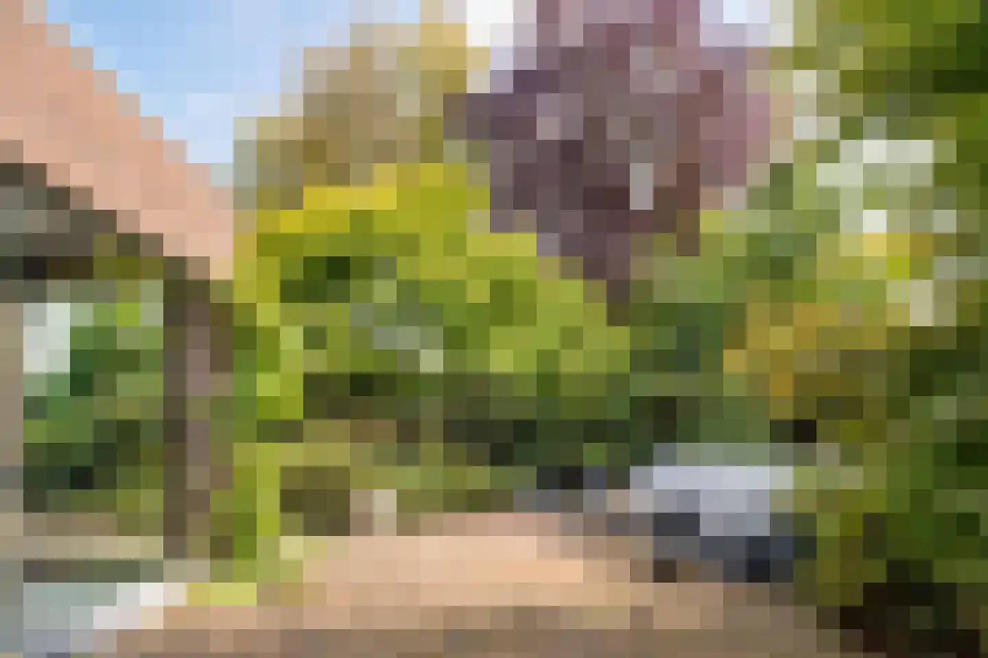 Halewijnstraat 8 Geleen thumbnail 16