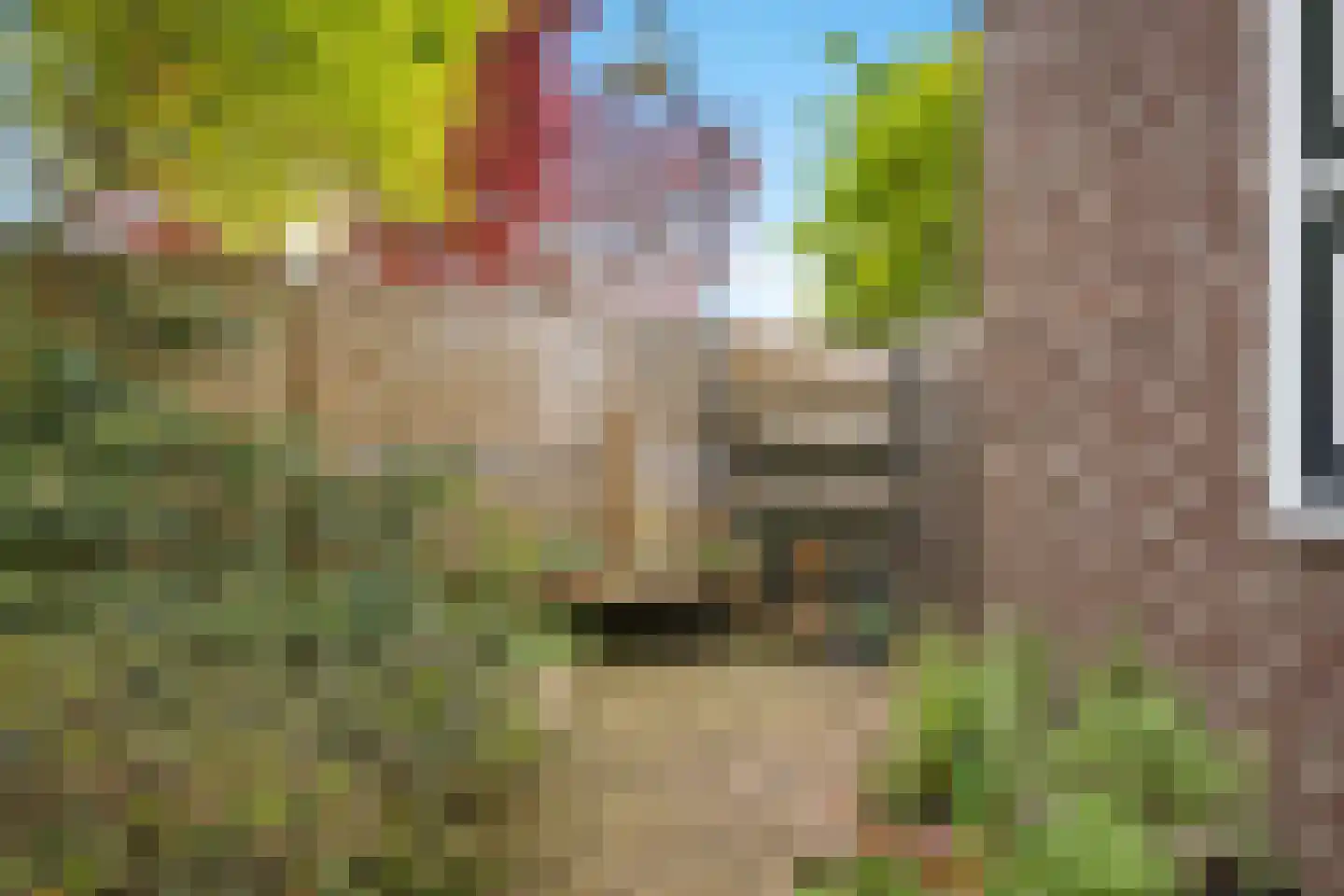 Halewijnstraat 8 Geleen thumbnail 17