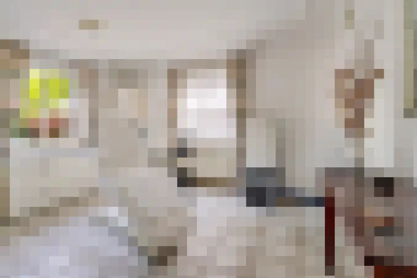 Halewijnstraat 8 Geleen thumbnail 19