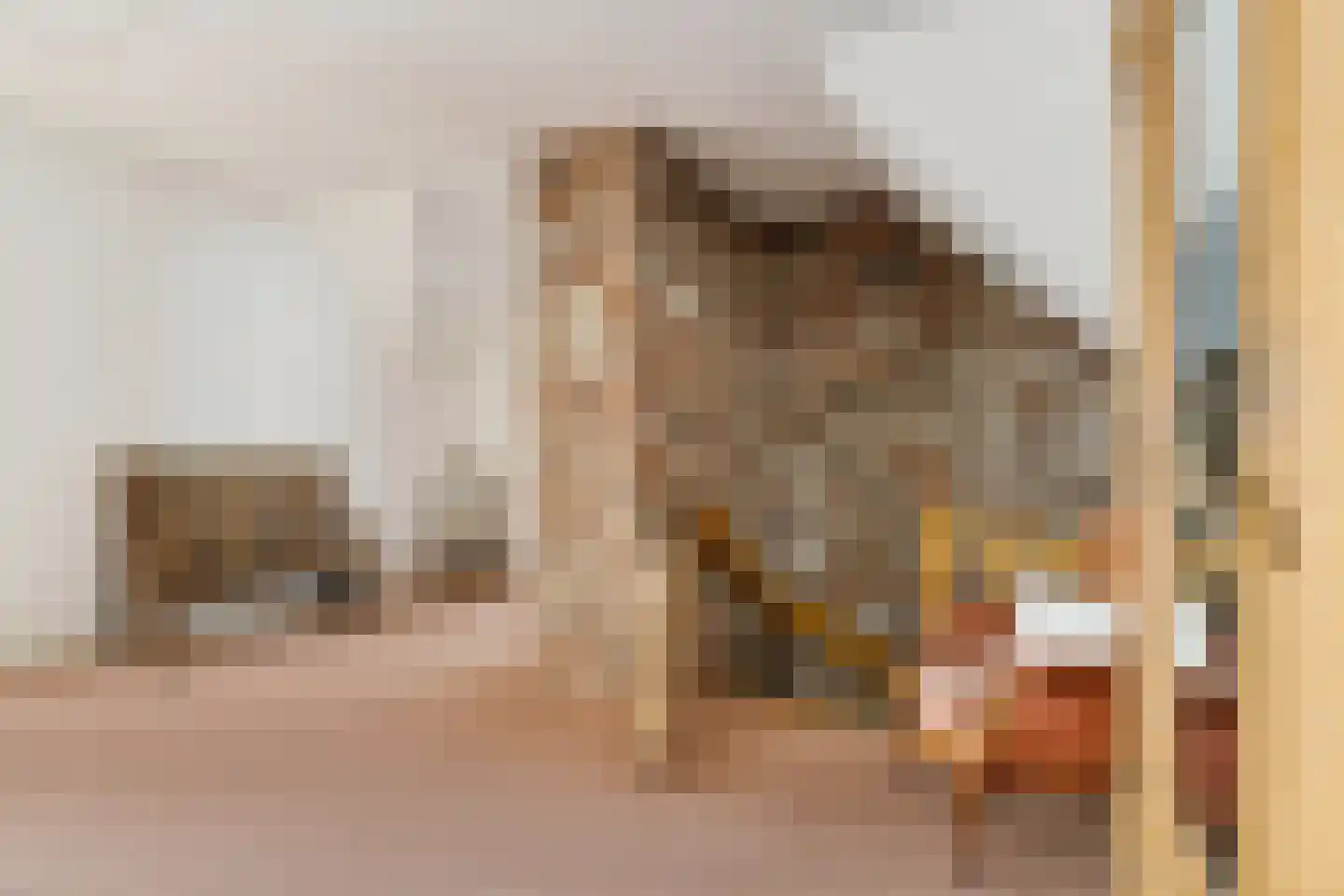 Halewijnstraat 8 Geleen thumbnail 20