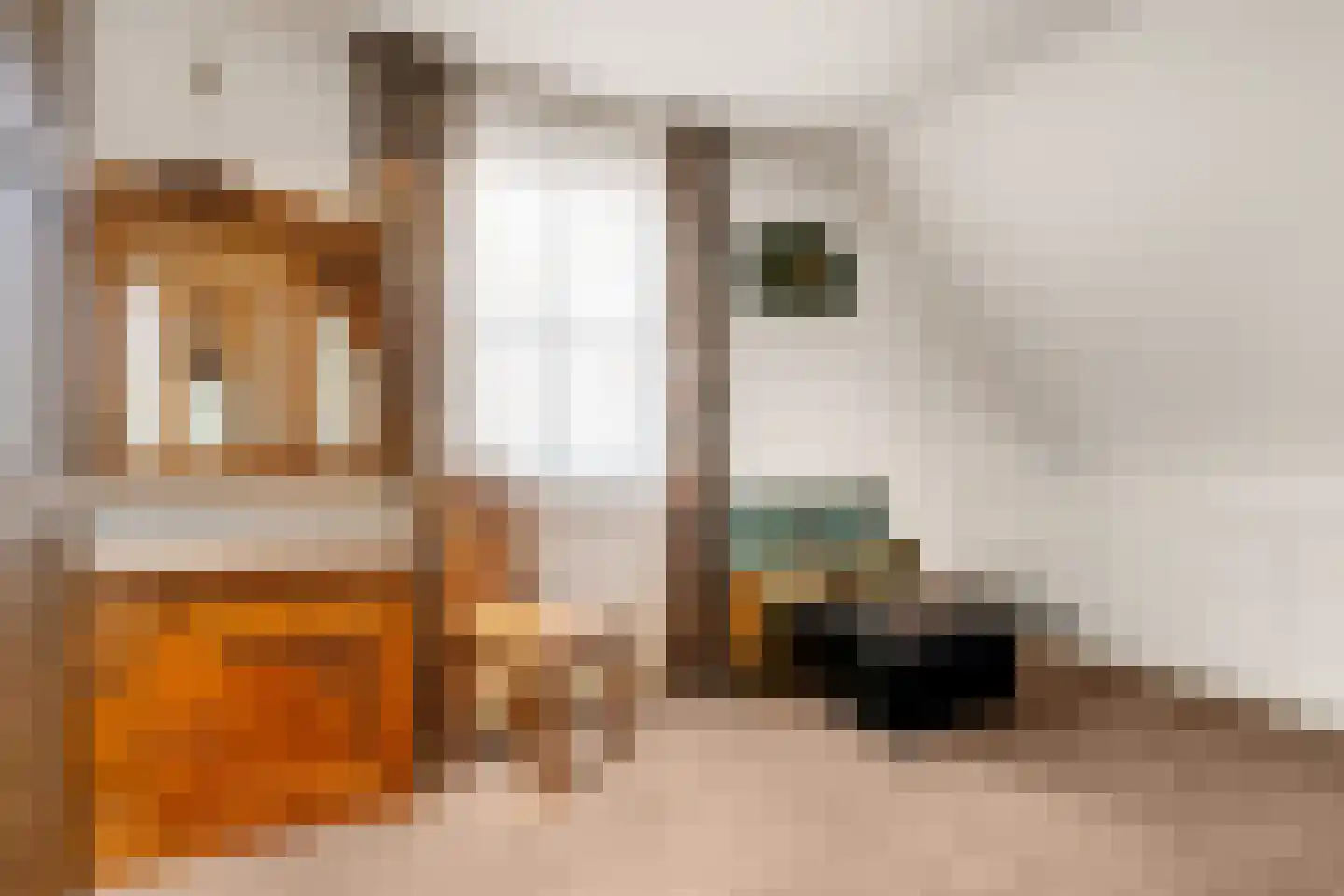 Halewijnstraat 8 Geleen thumbnail 22
