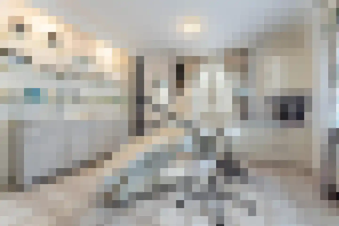 Halewijnstraat 8 Geleen thumbnail 25