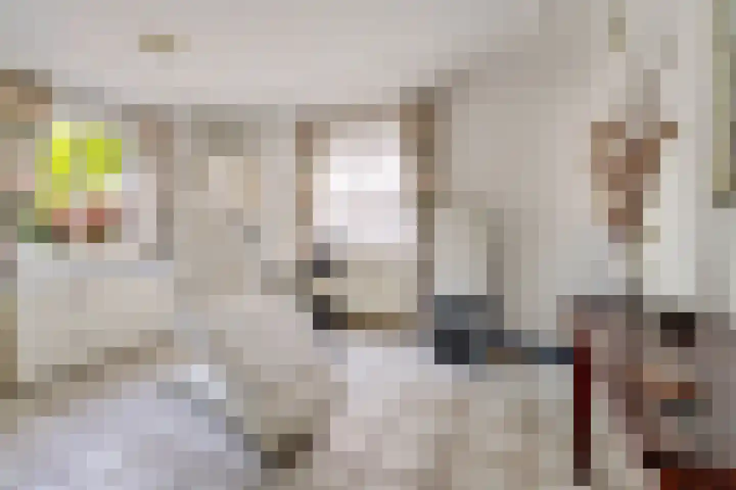 Halewijnstraat 8 Geleen thumbnail 27