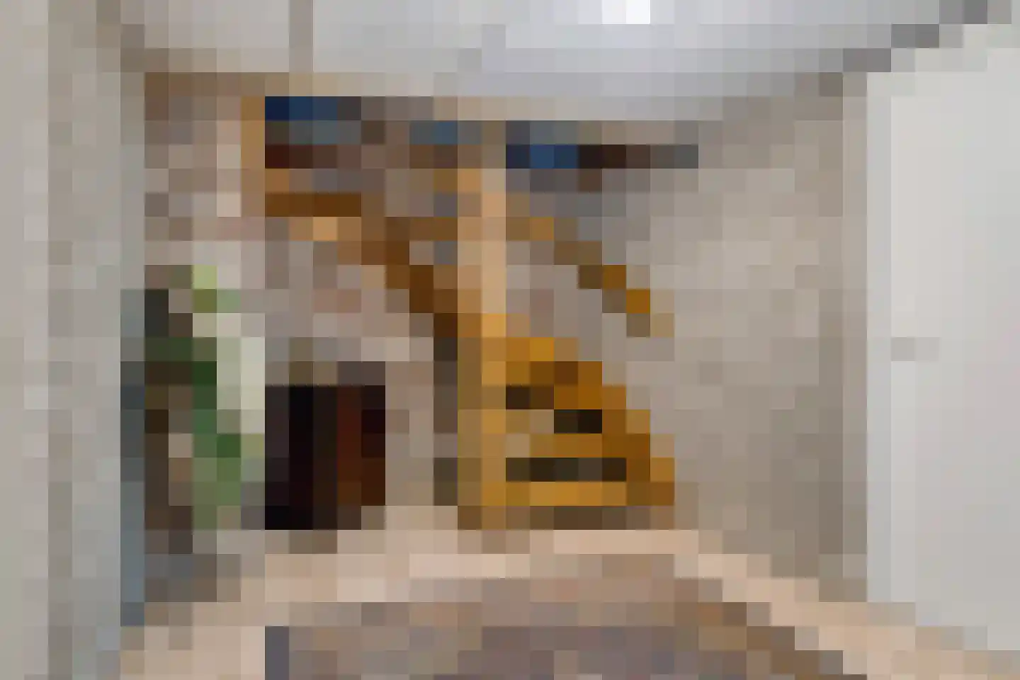 Halewijnstraat 8 Geleen thumbnail 29