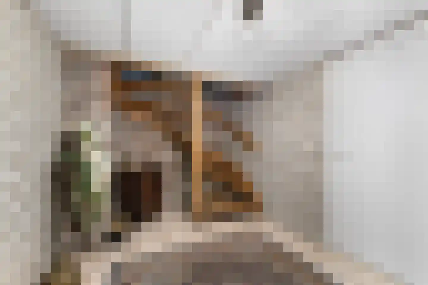 Halewijnstraat 8 Geleen thumbnail 29