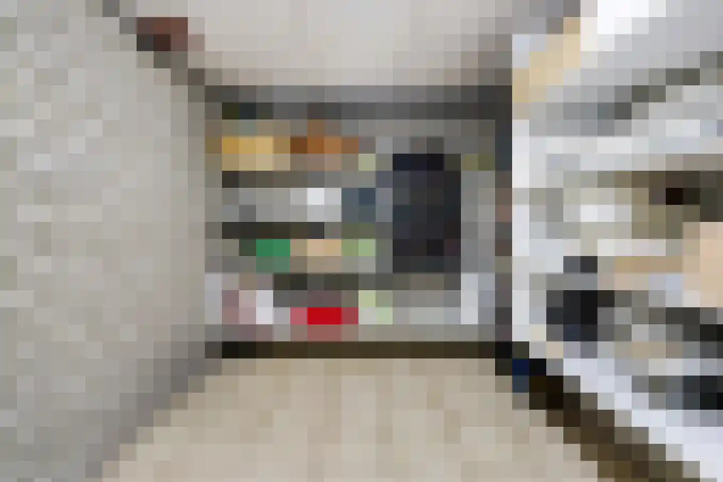 Halewijnstraat 8 Geleen thumbnail 32