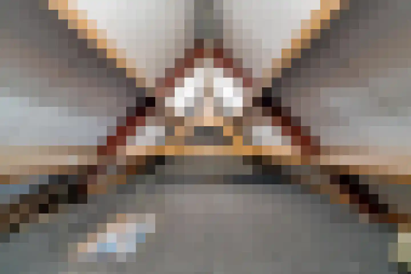 Halewijnstraat 8 Geleen thumbnail 34