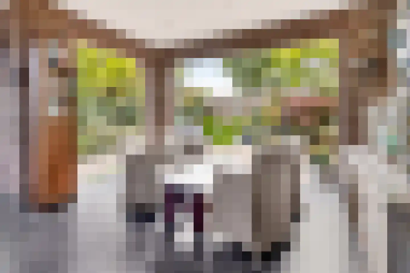 Halewijnstraat 8 Geleen thumbnail 5