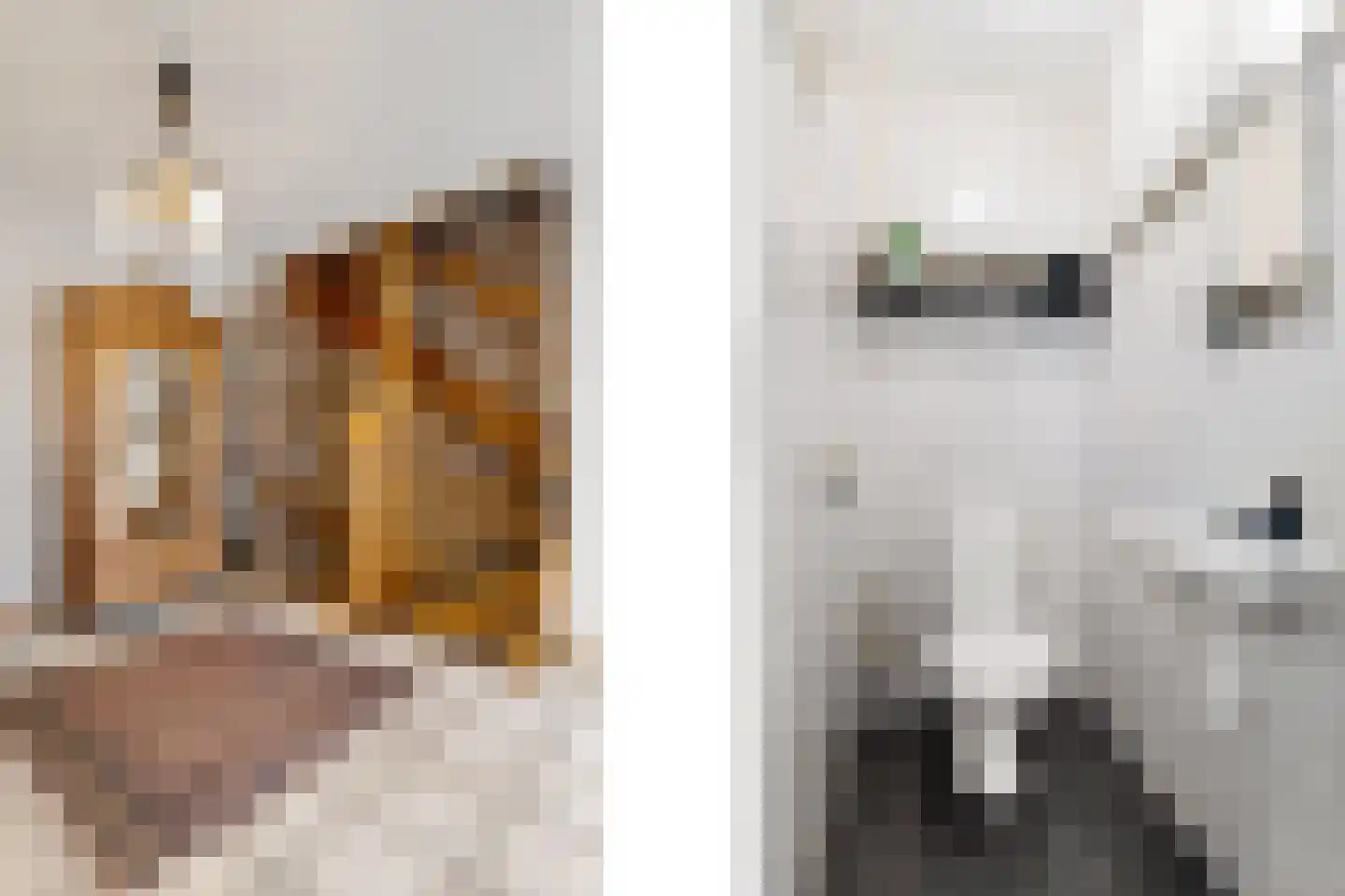 Halewijnstraat 8 Geleen thumbnail 6