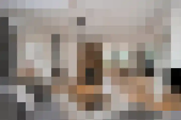 Halfeweg 16 Nieuwstadt thumbnail 14