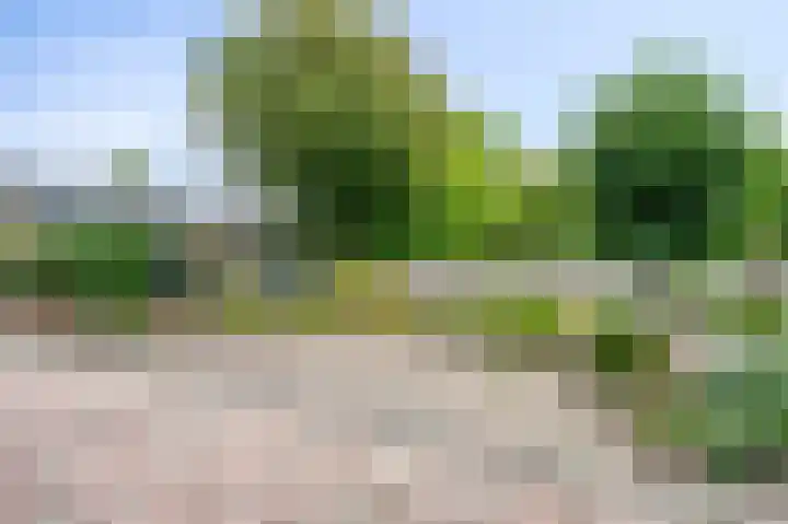 Halfeweg 16 Nieuwstadt thumbnail 22