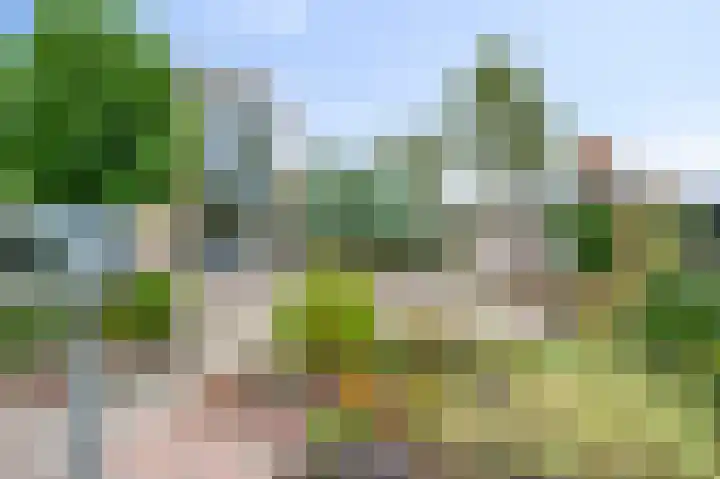 Halfeweg 16 Nieuwstadt thumbnail 23