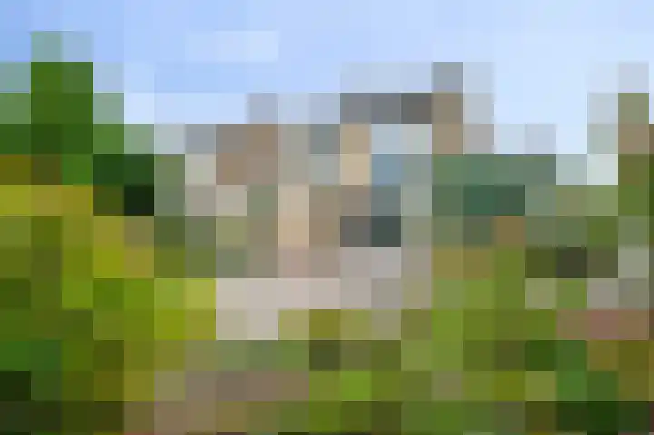 Halfeweg 16 Nieuwstadt thumbnail 25