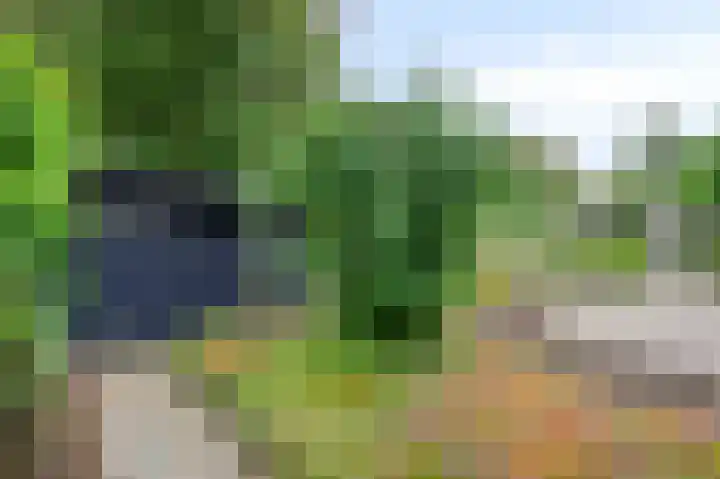 Halfeweg 16 Nieuwstadt thumbnail 26