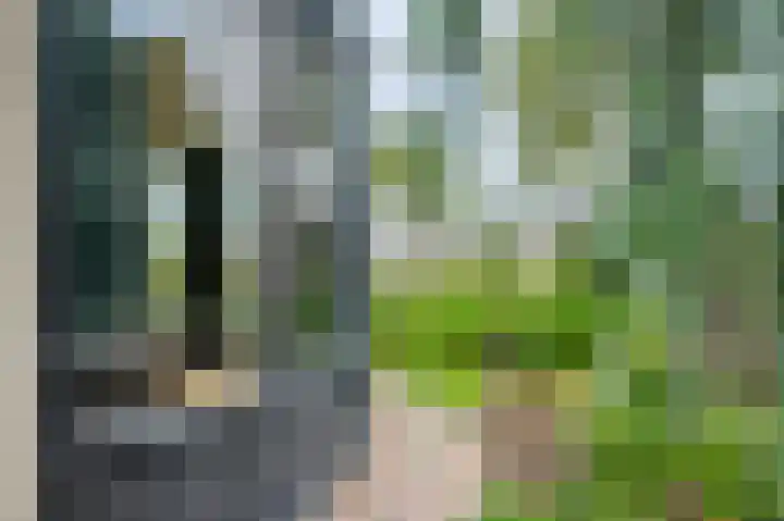 Halfeweg 16 Nieuwstadt thumbnail 28