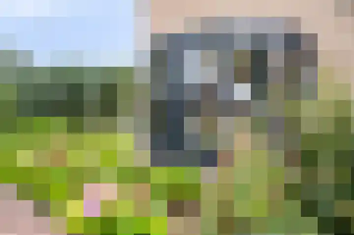 Halfeweg 16 Nieuwstadt thumbnail 49