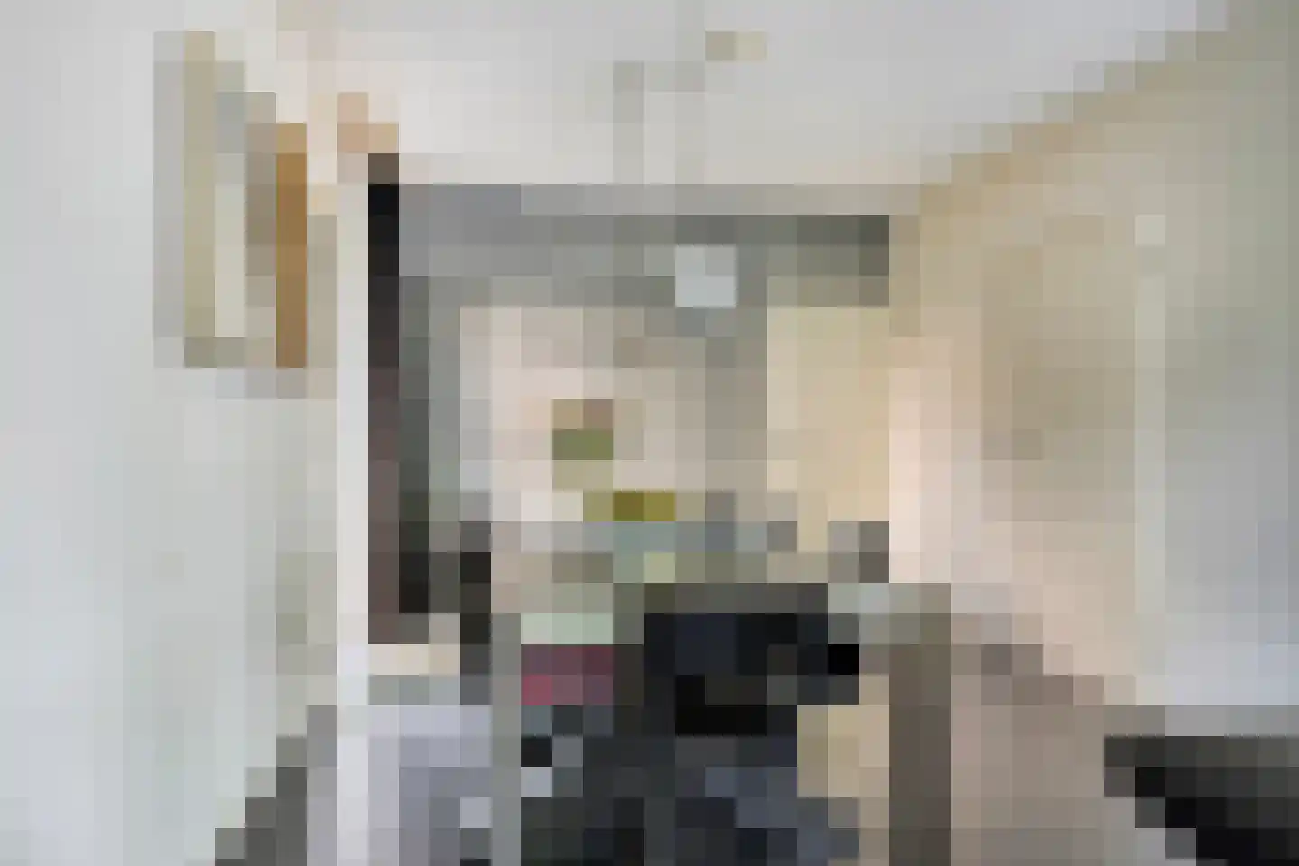 Halfrad 2 Kaatsheuvel thumbnail 11