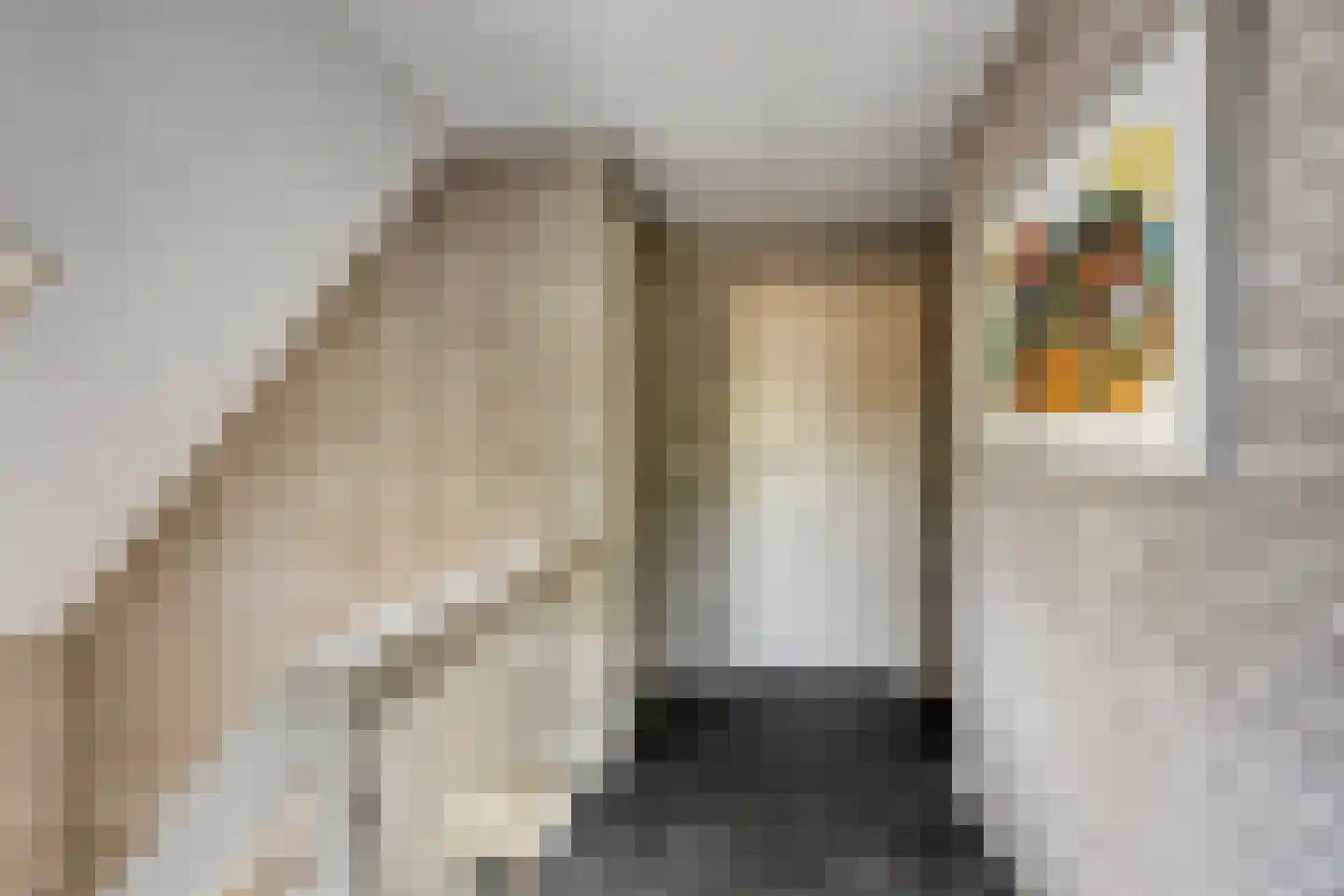 Halfrad 2 Kaatsheuvel thumbnail 24