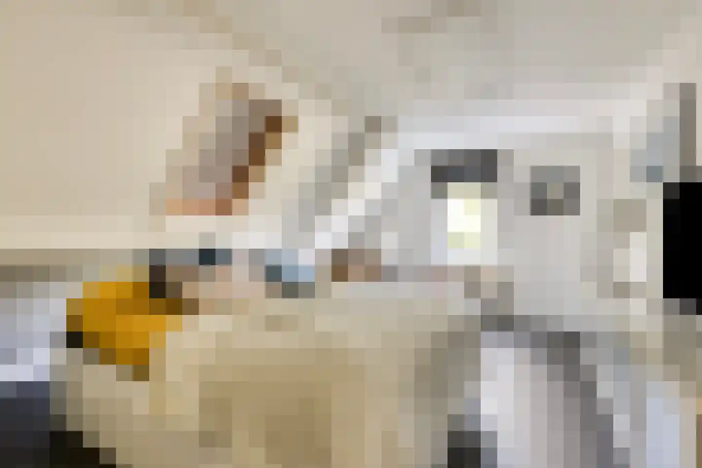 Halfrad 2 Kaatsheuvel thumbnail 27