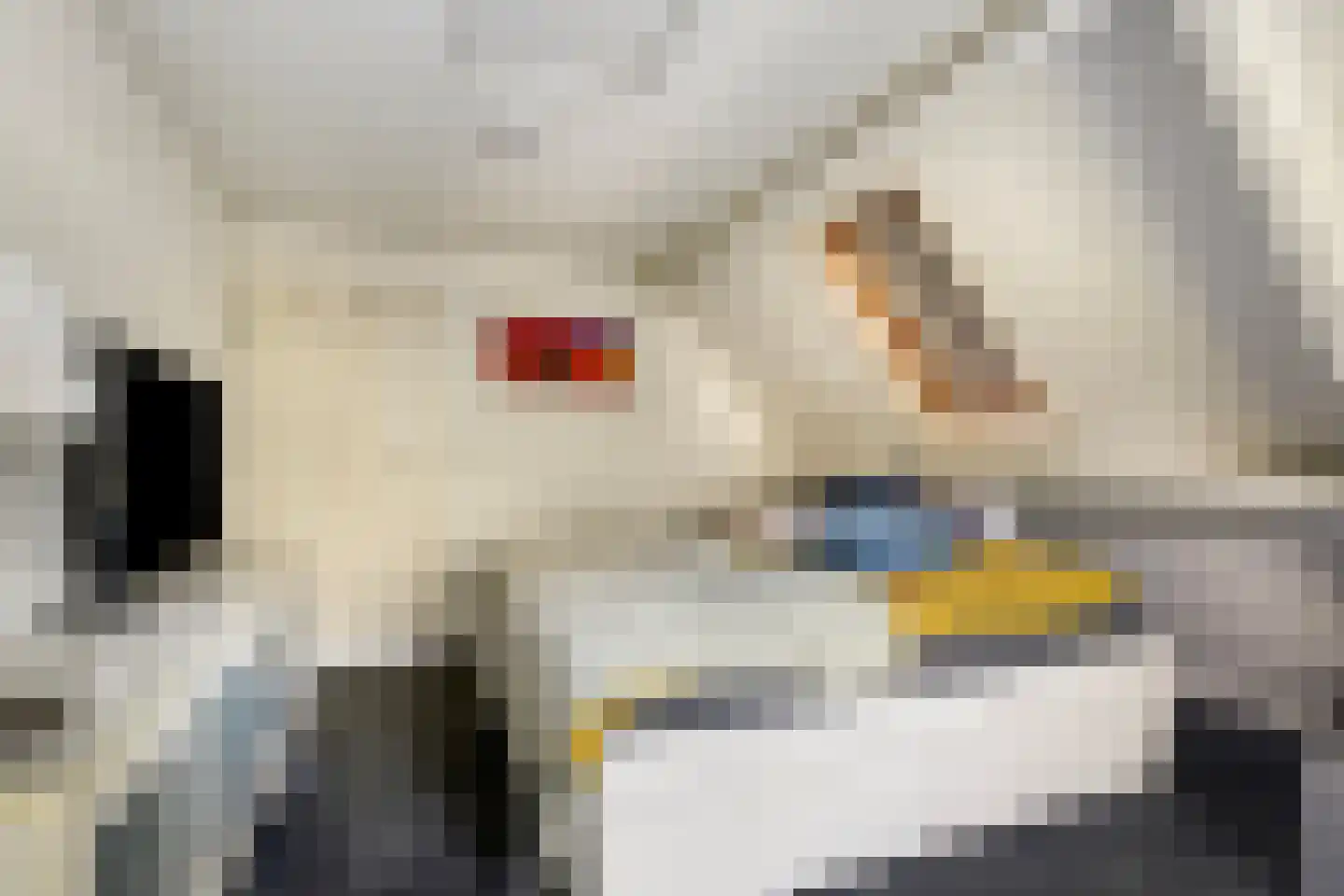 Halfrad 2 Kaatsheuvel thumbnail 28