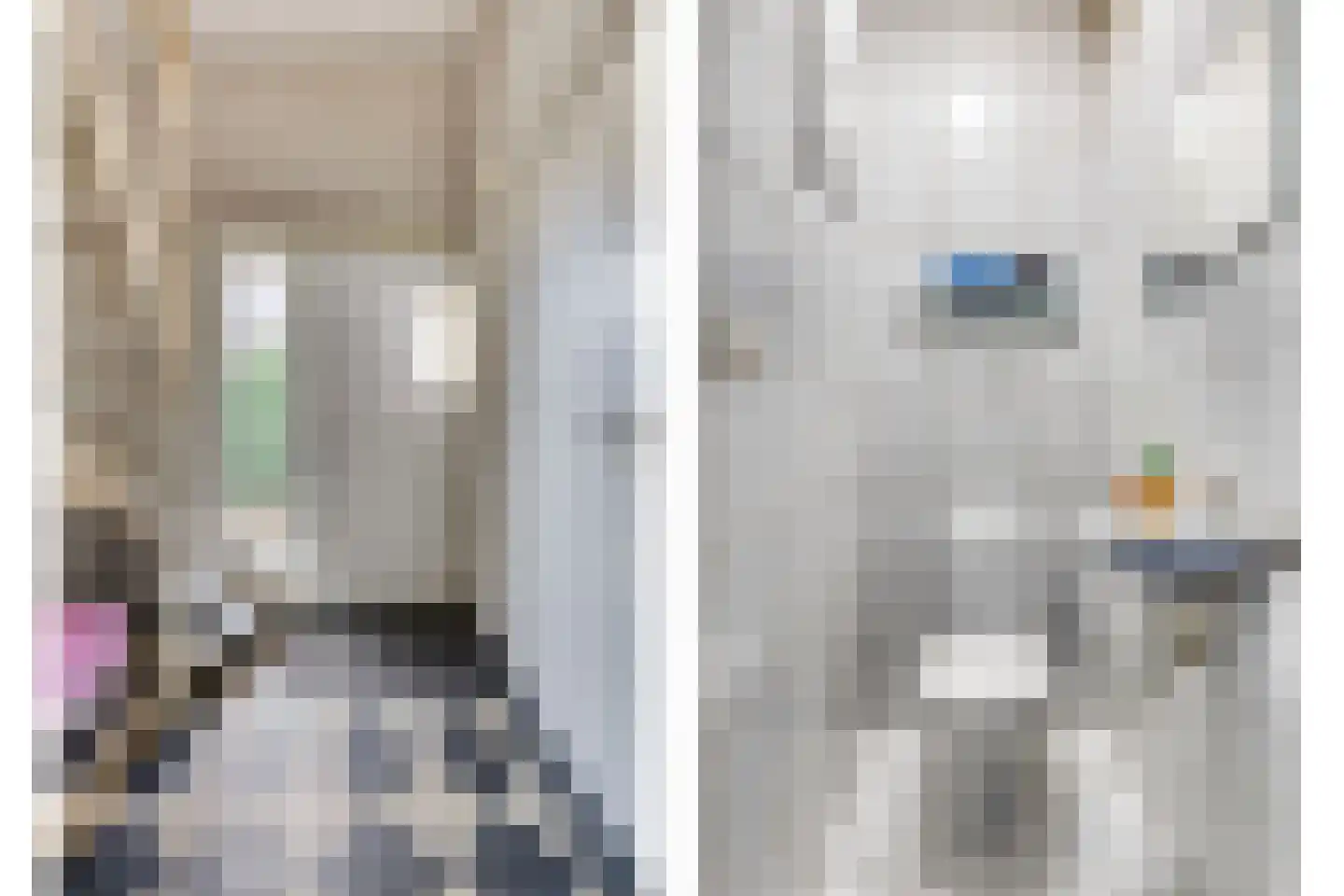 Halfrad 2 Kaatsheuvel thumbnail 7