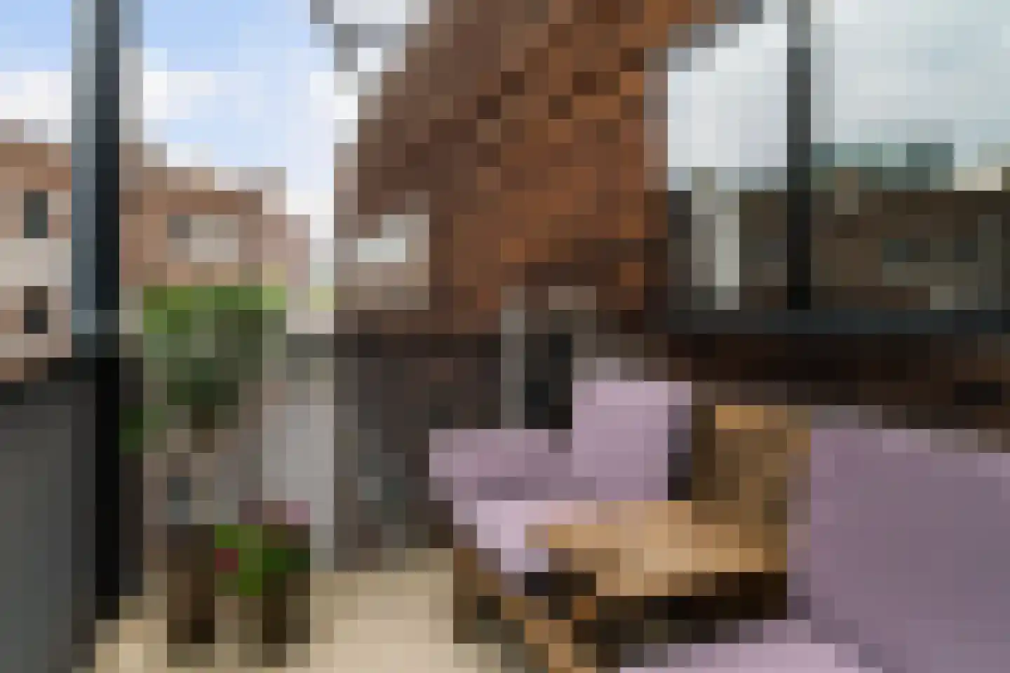 Halfrond 68 Rotterdam thumbnail 20