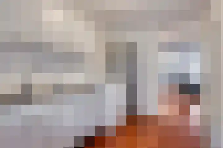 Halfrond 72 Rotterdam thumbnail 14