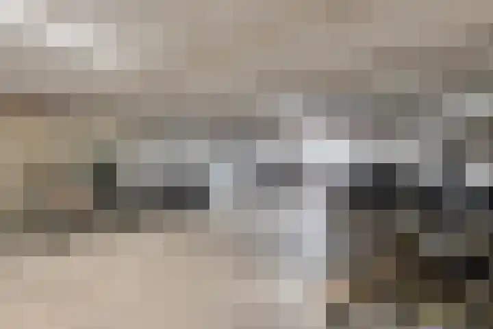 Halfrond 72 Rotterdam thumbnail 31