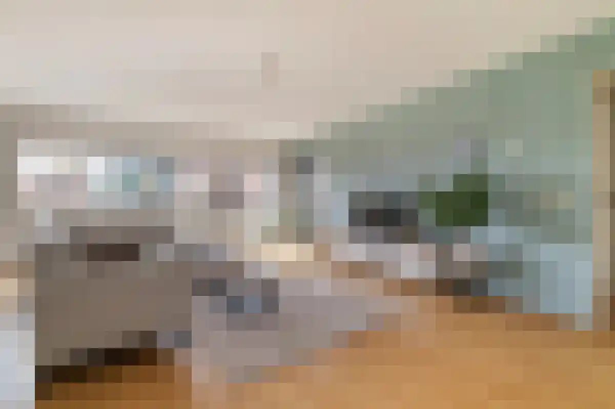 Halfrond 82 Rotterdam thumbnail 6