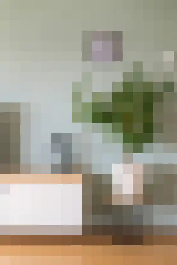 Halfrond 82 Rotterdam thumbnail 7