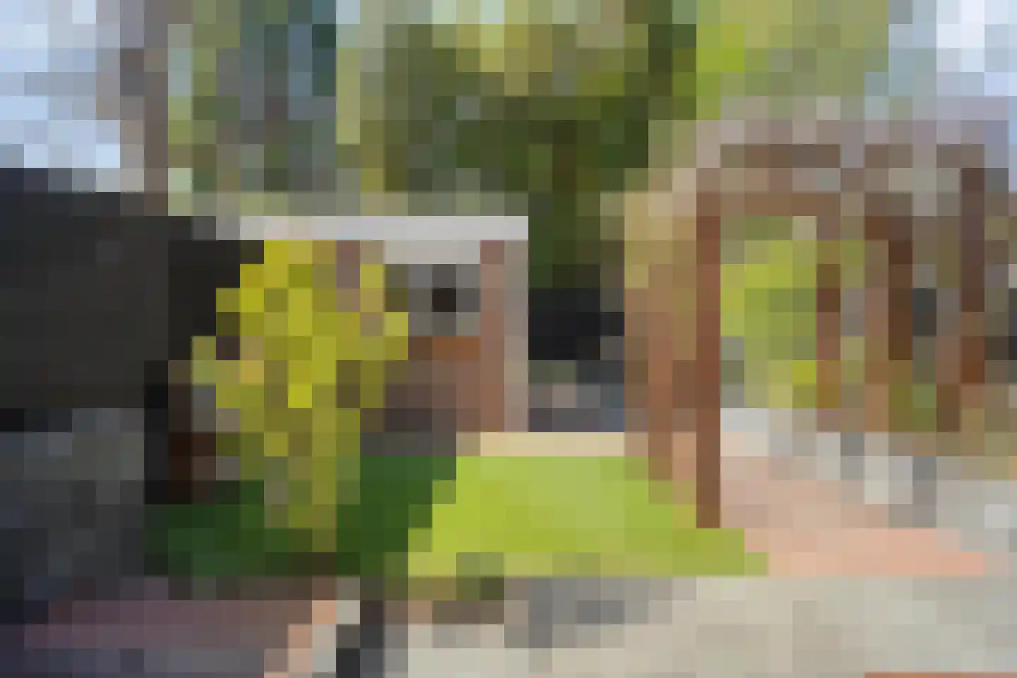 Halfweg 10 Hendrik-Ido-Ambacht thumbnail 17