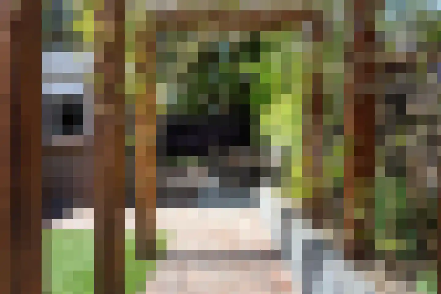 Halfweg 10 Hendrik-Ido-Ambacht thumbnail 18
