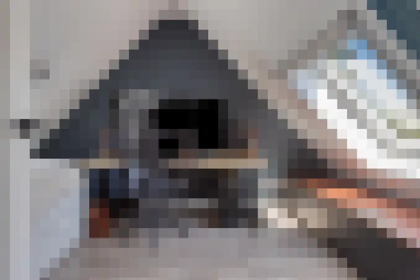 Halfweg 10 Hendrik-Ido-Ambacht thumbnail 35
