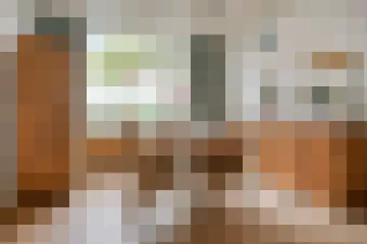 Halfweg 12 Hendrik-Ido-Ambacht thumbnail 6