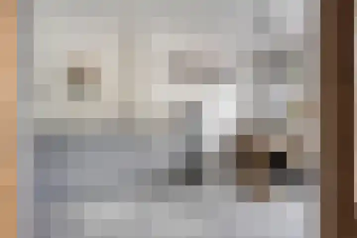 Halfweg 40 Hendrik-Ido-Ambacht thumbnail 11