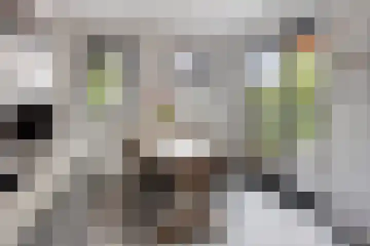 Halfweg 40 Hendrik-Ido-Ambacht thumbnail 13