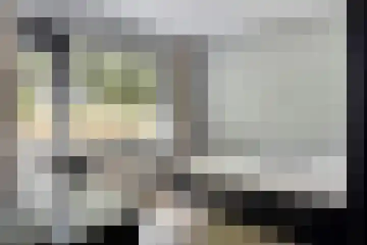 Halfweg 40 Hendrik-Ido-Ambacht thumbnail 18