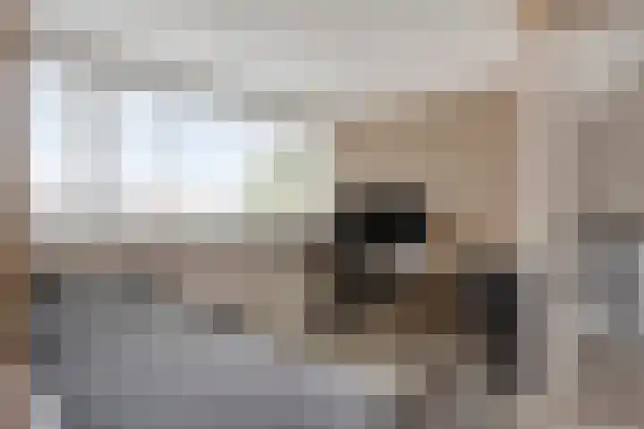 Halfweg 40 Hendrik-Ido-Ambacht thumbnail 29