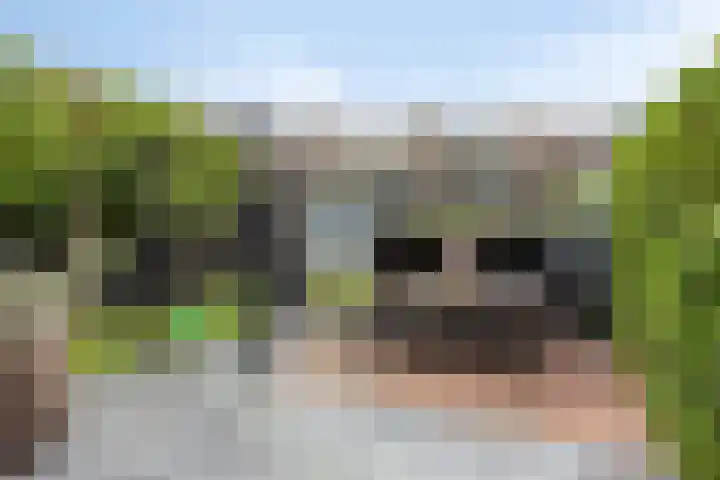 Halfweg 40 Hendrik-Ido-Ambacht thumbnail 30