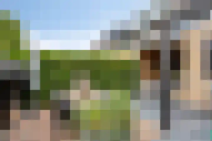 Halfweg 40 Hendrik-Ido-Ambacht thumbnail 31