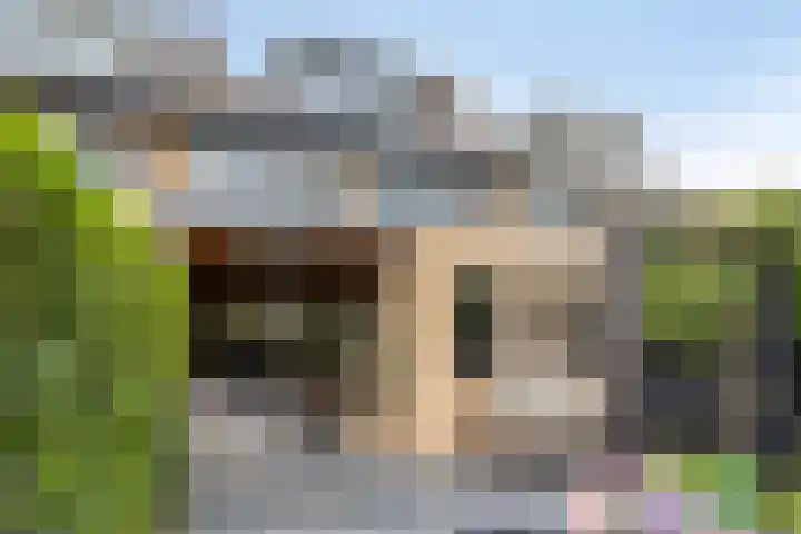 Halfweg 40 Hendrik-Ido-Ambacht thumbnail 32