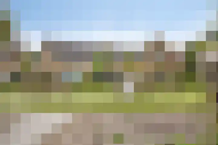 Halfweg 40 Hendrik-Ido-Ambacht thumbnail 33