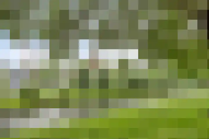 Halfweg 40 Hendrik-Ido-Ambacht thumbnail 35