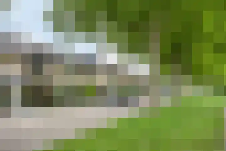 Halfweg 40 Hendrik-Ido-Ambacht thumbnail 37