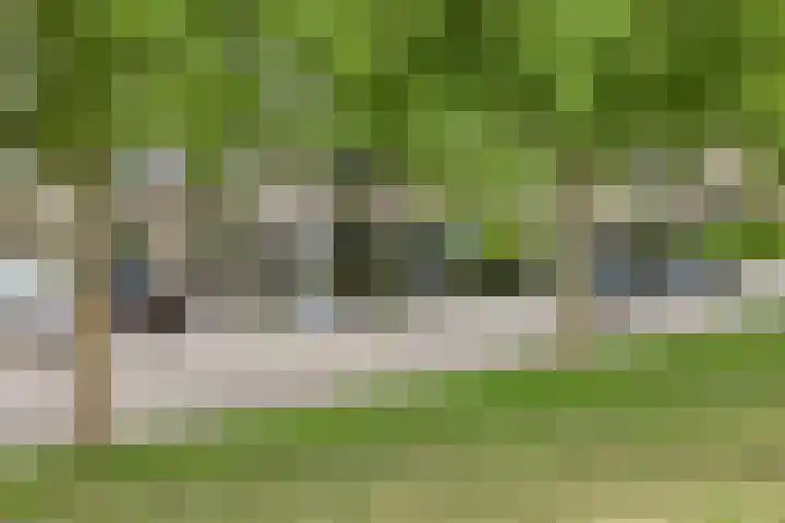 Halfweg 40 Hendrik-Ido-Ambacht thumbnail 38