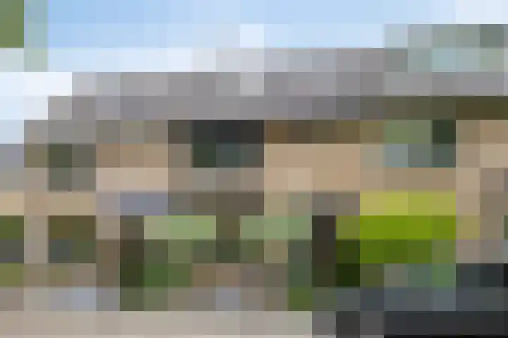 Halfweg 40 Hendrik-Ido-Ambacht thumbnail 41