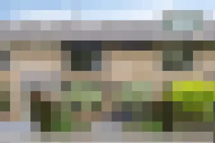 Halfweg 40 Hendrik-Ido-Ambacht thumbnail 47